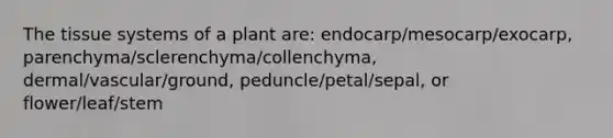 The tissue systems of a plant are: endocarp/mesocarp/exocarp, parenchyma/sclerenchyma/collenchyma, dermal/vascular/ground, peduncle/petal/sepal, or flower/leaf/stem