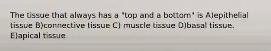 The tissue that always has a "top and a bottom" is A)epithelial tissue B)connective tissue C) muscle tissue D)basal tissue. E)apical tissue