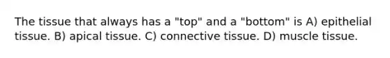The tissue that always has a "top" and a "bottom" is A) epithelial tissue. B) apical tissue. C) connective tissue. D) muscle tissue.