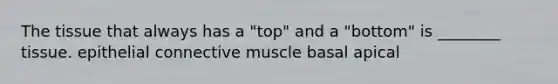 The tissue that always has a "top" and a "bottom" is ________ tissue. epithelial connective muscle basal apical