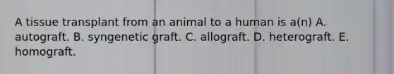 A tissue transplant from an animal to a human is a(n) A. autograft. B. syngenetic graft. C. allograft. D. heterograft. E. homograft.