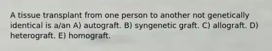 A tissue transplant from one person to another not genetically identical is a/an A) autograft. B) syngenetic graft. C) allograft. D) heterograft. E) homograft.