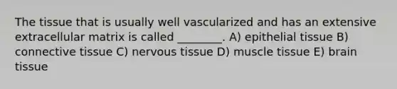 The tissue that is usually well vascularized and has an extensive extracellular matrix is called ________. A) epithelial tissue B) connective tissue C) nervous tissue D) muscle tissue E) brain tissue