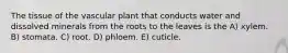 The tissue of the vascular plant that conducts water and dissolved minerals from the roots to the leaves is the A) xylem. B) stomata. C) root. D) phloem. E) cuticle.