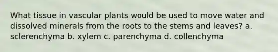 What tissue in <a href='https://www.questionai.com/knowledge/kbaUXKuBoK-vascular-plants' class='anchor-knowledge'>vascular plants</a> would be used to move water and dissolved minerals from the roots to the stems and leaves? a. sclerenchyma b. xylem c. parenchyma d. collenchyma