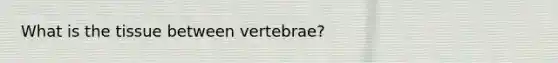 What is the tissue between vertebrae?