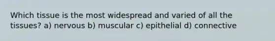 Which tissue is the most widespread and varied of all the tissues? a) nervous b) muscular c) epithelial d) connective