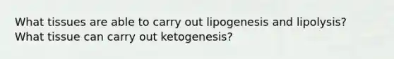 What tissues are able to carry out lipogenesis and lipolysis? What tissue can carry out ketogenesis?