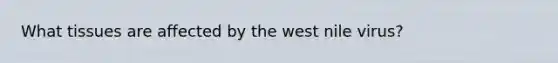 What tissues are affected by the west nile virus?