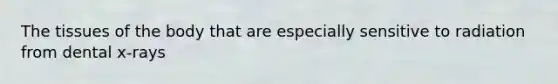 The tissues of the body that are especially sensitive to radiation from dental x-rays