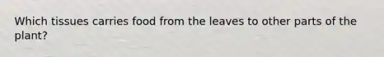 Which tissues carries food from the leaves to other parts of the plant?