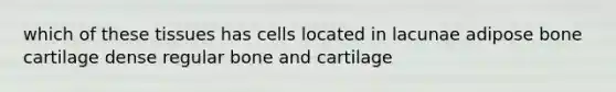 which of these tissues has cells located in lacunae adipose bone cartilage dense regular bone and cartilage