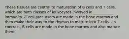 These tissues are central to maturation of B cells and T cells, which are both classes of leukocytes involved in ___________ immunity. -T cell precursors are made in the bone marrow and then make their way to the thymus to mature into T cells. -In contrast, B cells are made in the bone marrow and also mature there.