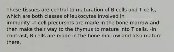 These tissues are central to maturation of B cells and T cells, which are both classes of leukocytes involved in ___________ immunity. -T cell precursors are made in the bone marrow and then make their way to the thymus to mature into T cells. -In contrast, B cells are made in the bone marrow and also mature there.