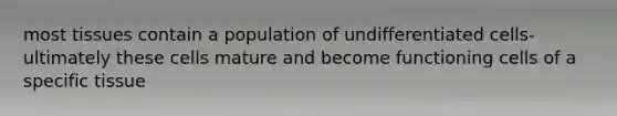 most tissues contain a population of undifferentiated cells- ultimately these cells mature and become functioning cells of a specific tissue