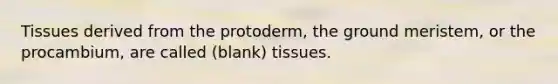 Tissues derived from the protoderm, the ground meristem, or the procambium, are called (blank) tissues.