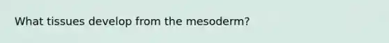 What tissues develop from the mesoderm?