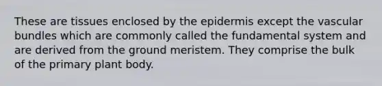 These are tissues enclosed by the epidermis except the vascular bundles which are commonly called the fundamental system and are derived from the ground meristem. They comprise the bulk of the primary plant body.