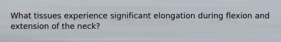 What tissues experience significant elongation during flexion and extension of the neck?
