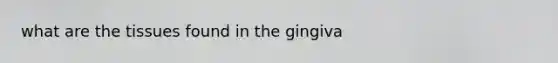 what are the tissues found in the gingiva