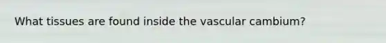 What tissues are found inside the vascular cambium?