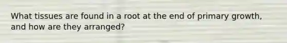 What tissues are found in a root at the end of primary growth, and how are they arranged?