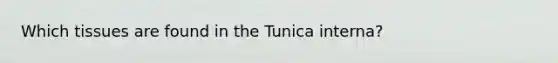 Which tissues are found in the Tunica interna?