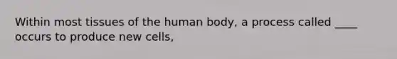 Within most tissues of the human body, a process called ____ occurs to produce new cells,