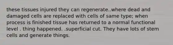 these tissues injured they can regenerate..where dead and damaged cells are replaced with cells of same type; when process is finished tissue has returned to a normal functional level . thing happened. .superficial cut. They have lots of stem cells and generate things.