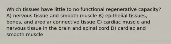 Which tissues have little to no functional regenerative capacity? A) nervous tissue and smooth muscle B) epithelial tissues, bones, and areolar connective tissue C) cardiac muscle and nervous tissue in the brain and spinal cord D) cardiac and smooth muscle