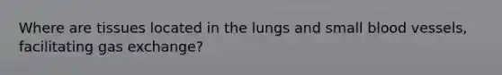 Where are tissues located in the lungs and small blood vessels, facilitating gas exchange?