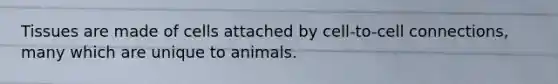 Tissues are made of cells attached by cell-to-cell connections, many which are unique to animals.