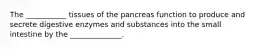 The ___________ tissues of the pancreas function to produce and secrete digestive enzymes and substances into the small intestine by the ______________.