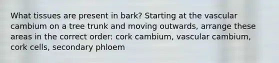 What tissues are present in bark? Starting at the vascular cambium on a tree trunk and moving outwards, arrange these areas in the correct order: cork cambium, vascular cambium, cork cells, secondary phloem