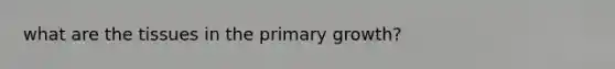 what are the tissues in the primary growth?