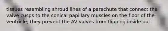 tissues resembling shroud lines of a parachute that connect the valve cusps to the conical papillary muscles on the floor of the ventricle; they prevent the AV valves from flipping inside out.