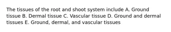 The tissues of the root and shoot system include A. <a href='https://www.questionai.com/knowledge/kb0kKBaH0H-ground-tissue' class='anchor-knowledge'>ground tissue</a> B. <a href='https://www.questionai.com/knowledge/kRKdINDJId-dermal-tissue' class='anchor-knowledge'>dermal tissue</a> C. <a href='https://www.questionai.com/knowledge/k1HVFq17mo-vascular-tissue' class='anchor-knowledge'>vascular tissue</a> D. Ground and dermal tissues E. Ground, dermal, and vascular tissues