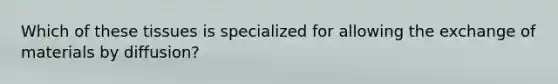Which of these tissues is specialized for allowing the exchange of materials by diffusion?