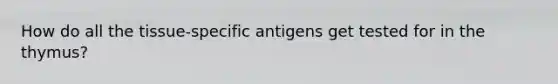 How do all the tissue-specific antigens get tested for in the thymus?