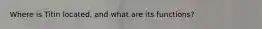Where is Titin located, and what are its functions?