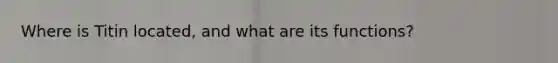 Where is Titin located, and what are its functions?