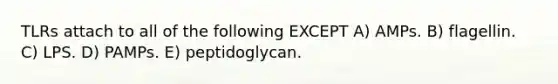 TLRs attach to all of the following EXCEPT A) AMPs. B) flagellin. C) LPS. D) PAMPs. E) peptidoglycan.