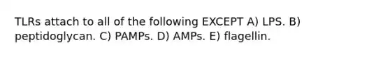 TLRs attach to all of the following EXCEPT A) LPS. B) peptidoglycan. C) PAMPs. D) AMPs. E) flagellin.