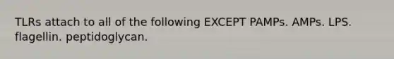 TLRs attach to all of the following EXCEPT PAMPs. AMPs. LPS. flagellin. peptidoglycan.