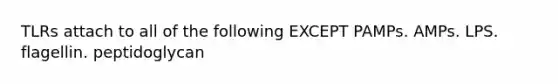 TLRs attach to all of the following EXCEPT PAMPs. AMPs. LPS. flagellin. peptidoglycan