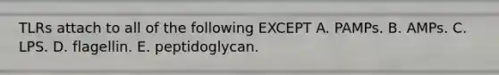 TLRs attach to all of the following EXCEPT A. PAMPs. B. AMPs. C. LPS. D. flagellin. E. peptidoglycan.