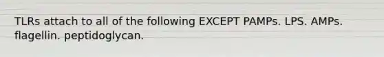 TLRs attach to all of the following EXCEPT PAMPs. LPS. AMPs. flagellin. peptidoglycan.