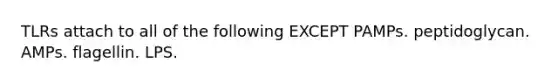 TLRs attach to all of the following EXCEPT PAMPs. peptidoglycan. AMPs. flagellin. LPS.