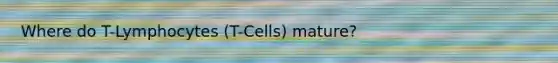 Where do T-Lymphocytes (T-Cells) mature?