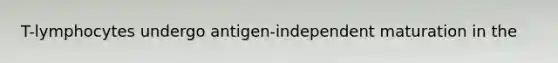 T-lymphocytes undergo antigen-independent maturation in the